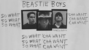 Beastie Boys - So What'Cha Want ( Dj ray-g remix )