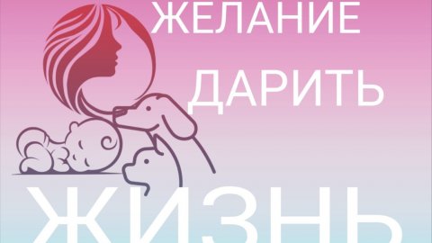 работа ПВЗ и Сантехника