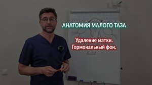 Гормональный фон после удаления матки