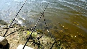 Последняя поездка на природу в этом году