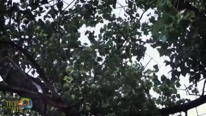 Осетинская свадьба Владикавказ