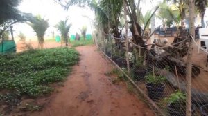 Santana Beach Resort Tour #goa #santanabeachresort #travel