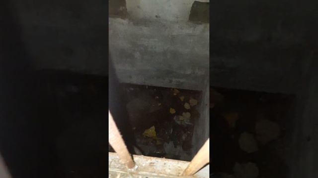 Вход в бомбоубежище в центре Минска. смотреть онлайн