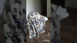 подборка снюсоеда 2 :)