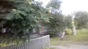 VLOG♡Какие травы можно улиткам🐌собираю травы для улиток| Milka TV |