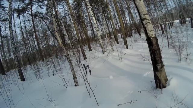 Охота. Заметки охотника #23. Охота на рябчика зимой. Манок Чемпион. Hunting in russia