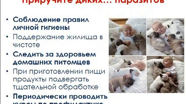 Причины ожирения.mp4