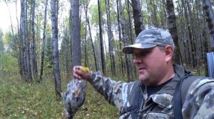 Охота на рябчика с манком 2018. Как манить рябчика манком.