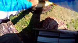 Охота на Карпа. Мормышинг.