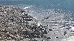 Турбаза на озере ЛАМА 4К