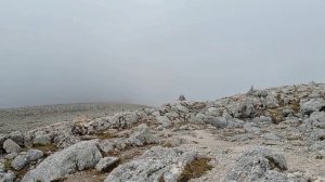 Человек идущий