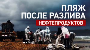 Сотни мешков с мазутом: как выглядит пляж в Витязево после разлива нефтепродуктов