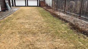 Уход весной за газоном