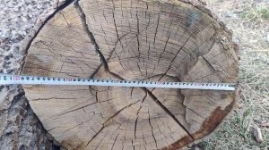 Самодельная ленточная пилорама пилит ясень .