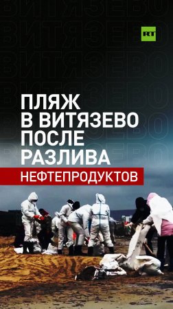 Сотни мешков с мазутом: как выглядит пляж в Витязево после разлива нефтепродуктов