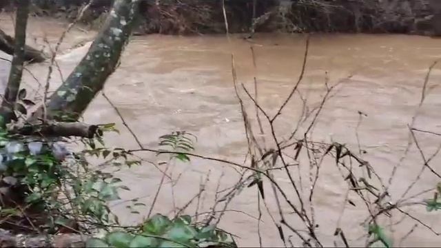 ПРОГУЛКА С ОВЧАРКОЙ ПОСЛЕ СИЛЬНОГО ДОЖДЯ / США смотреть онлайн