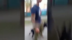 Мужик с собакой в парке и истеричка с ребенком