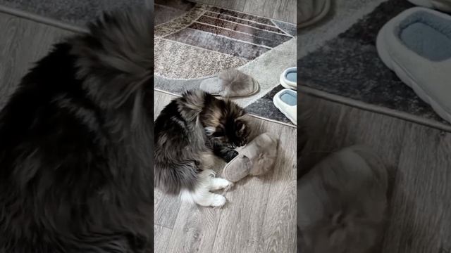 Анфиса🤗😻
