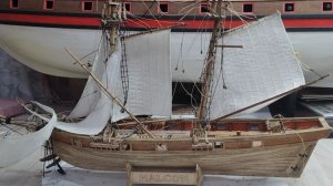 Побитый котами.