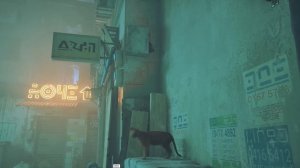 Stray - жизнь глазами кота - Спайдер и Ниндзяго