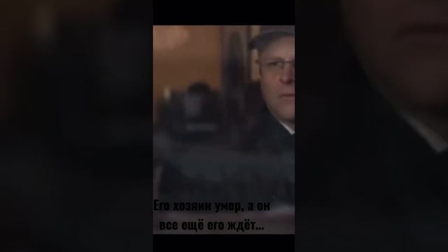 Фильм:Хатико. фильмы.лучшее.топ.топчик.лучшиемоменты