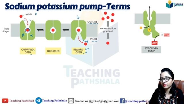 Sodium Potassium Pump (in Hindi) ||  Na⁺ / K⁺ - ATPase