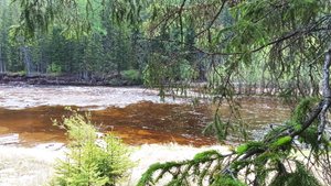 Случай на рыбалке (река Лена, сентябрь 2024)