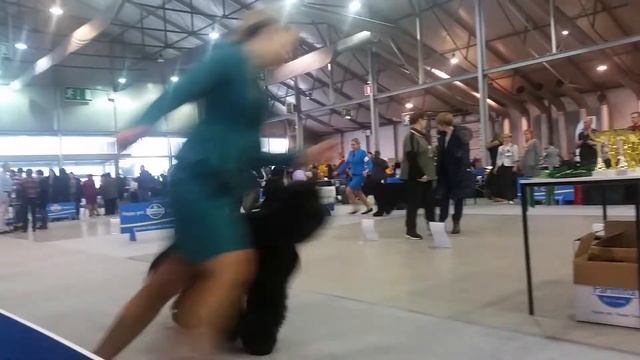 26 января 2019 г. Сравнение на ЛПП смотреть онлайн