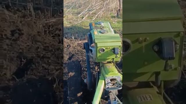Дизельный мотоблок- пустая трата денег?