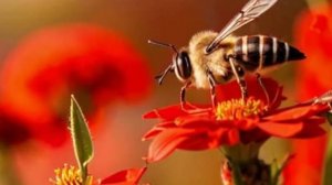 Реальные истории из жизни - Сюрприз судьбы - Классные моменты из реальной жизни ...