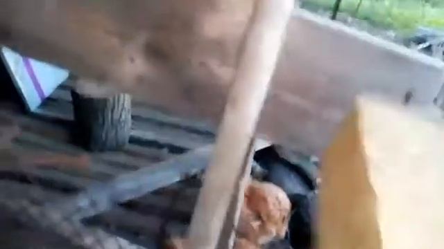 Готовые домашние брикеты.