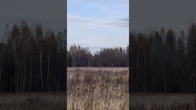 Выход лося на номер смотреть онлайн