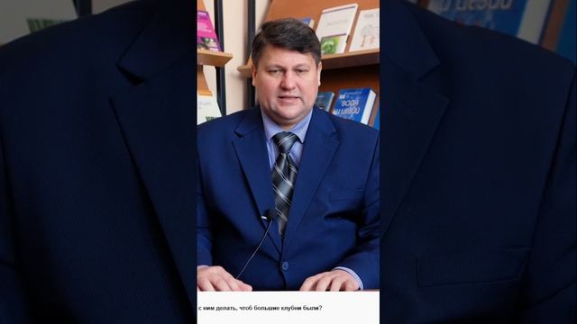 Как вырастить большой картофель в глинистой почве