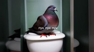 пук пук пук....