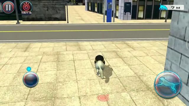 NY City Police Dog Simulator 3D - Ep3 Husky Dog Chase | Dog Games Android Gameplay смотреть онлайн
