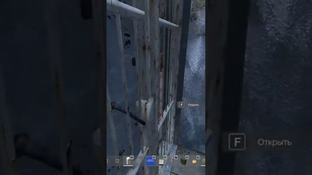 Семейные разборки в КПЗ #дейз #stalker #dayz #сталкер #rp #stalkerrp #shorts #gaming