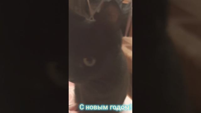 Все я устала