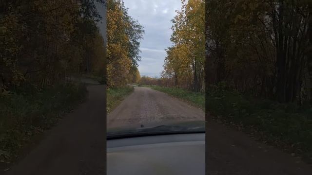 Осень