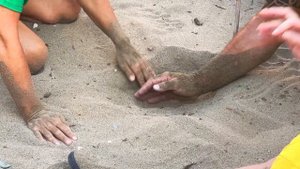 ✅️ УДИВИТЕЛЬНОЕ ЗРЕЛИЩЕ! Рождение черепах на Северном Кипре 2023 !!!