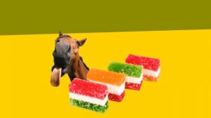 Мои пародии на мышку сосиску за июль- часть 2