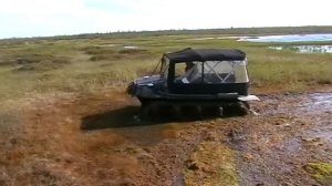ВЕЗДЕХОД АРГО ARGO и его проходимость , жесть