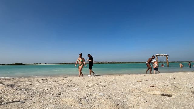 Круиз семьи Юнусовых с Dexnet