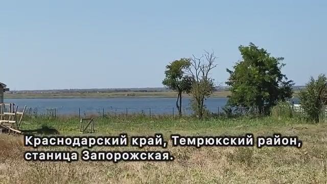 Недвижимость на побережье. Краснодарский край, станица Запорожская. Дом с видом на Динской залив.