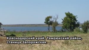Недвижимость на побережье. Краснодарский край, станица Запорожская. Дом с видом на Динской залив.