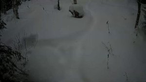 очередная вылазка в лес. попал в наледь