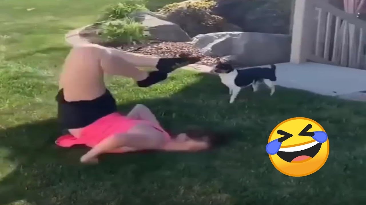 TRY NOT TO LAUGH 😆 Best Funny Videos Compilation 😂😁😆 смотреть онлайн