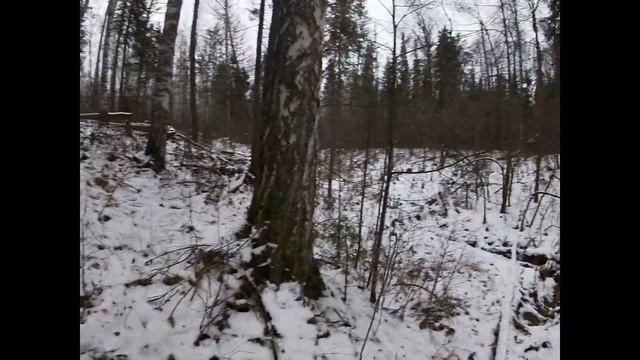 Охота. Охота на лося с лайкой .Тропление лося по снегу смотреть онлайн