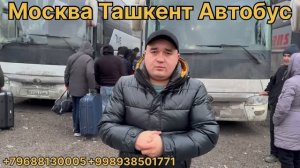 москва тошкент автобус прямой рейс !!!  тошкент москва автобус прямой рейс )))