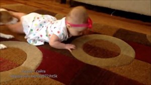 Прикольное видео - Собака учит ребенка ползать