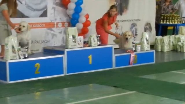 Best 8 группа, ОРЛОВИЯ 2014 смотреть онлайн